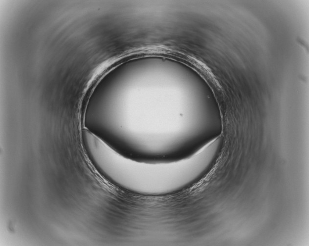X0000096991176200802221450