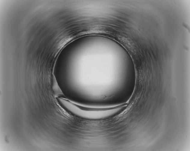 X0000096991177200802221450