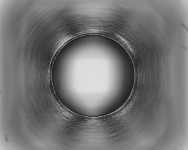 X0000096991178200802221450