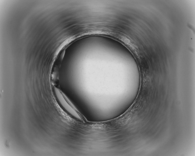 X0000096991181200802221450