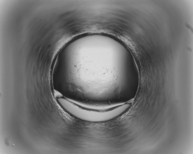 X0000096991183200802221450