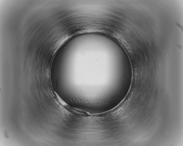 X0000096991185200802221450