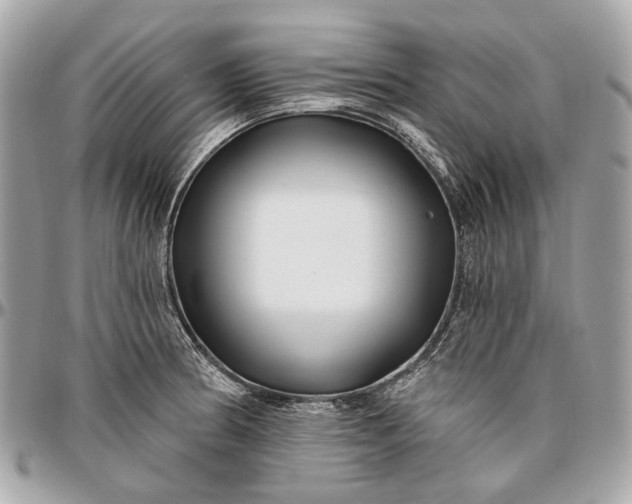 X0000096991186200802221450