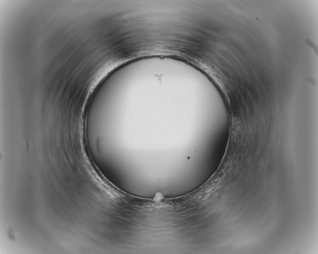 X0000096991187200802221450