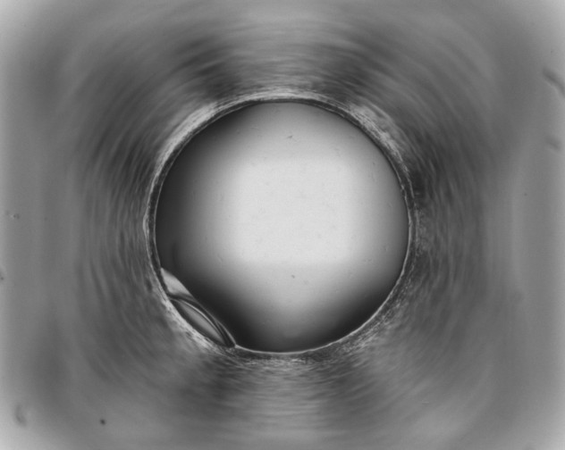 X0000096991189200802221450
