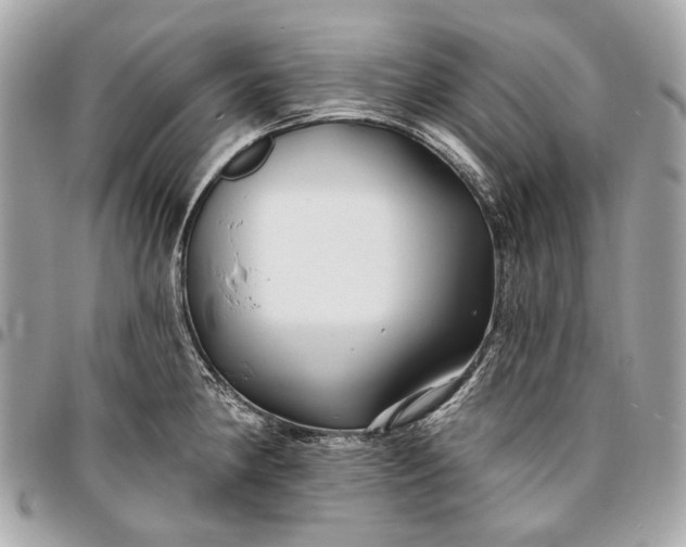 X0000096991190200802221450