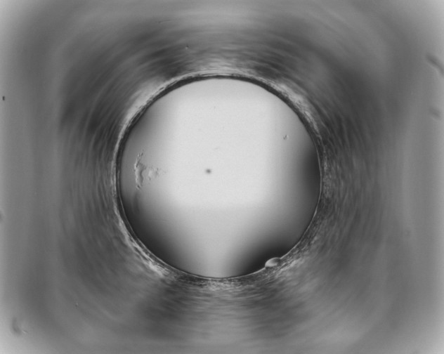 X0000096991191200802221450