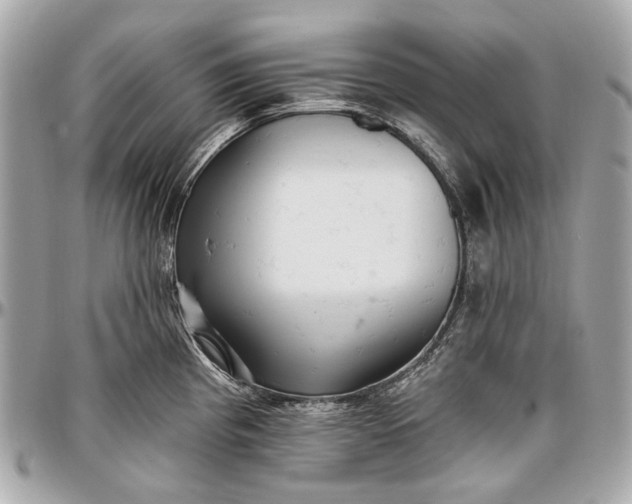 X0000096991193200802221450
