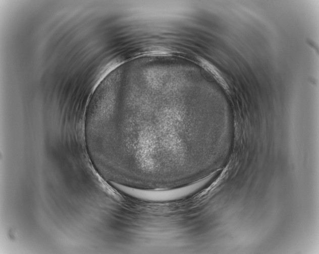 X0000096991194200802221450