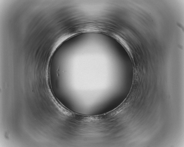 X0000096991195200802221450