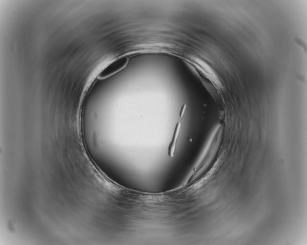 X0000096991196200802221450