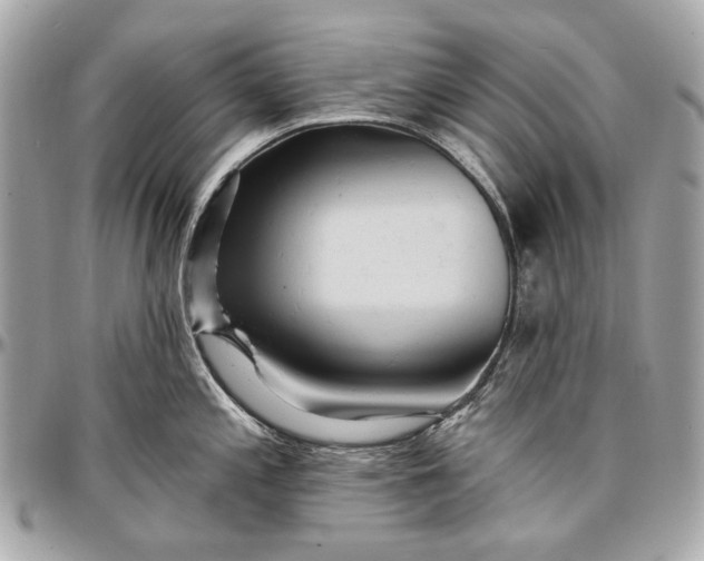 X0000096991197200802221450