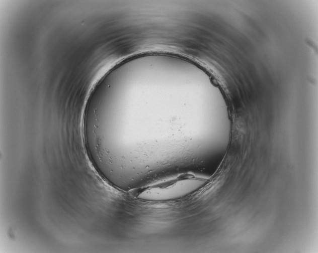 X0000096991199200802221450