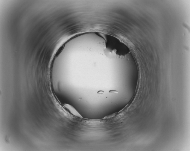 X0000096991200200802221450