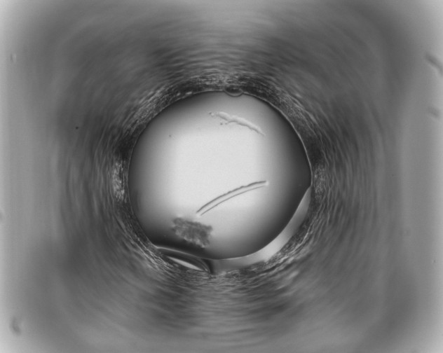 X0000096991202200802221449