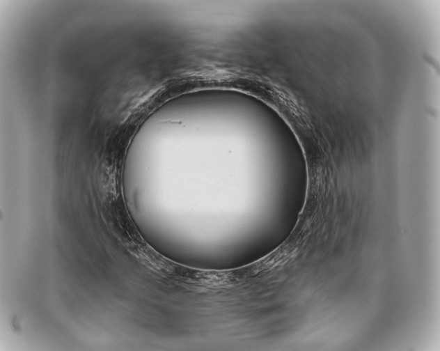 X0000096991205200802221449