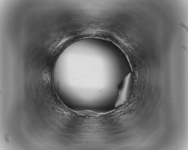 X0000096991206200802221449
