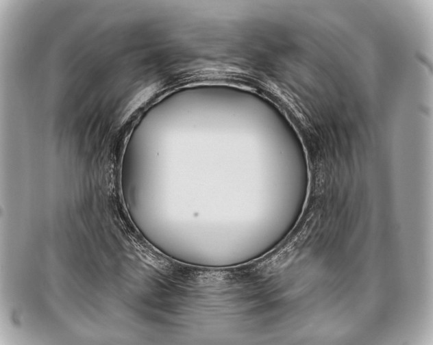 X0000096991211200802221449