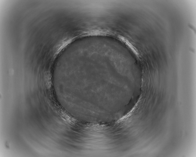 X0000096991213200802221449