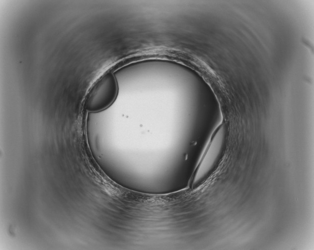 X0000096991216200802221450