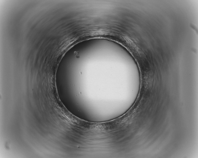 X0000096991217200802221450