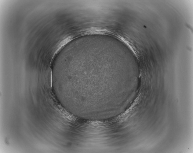 X0000096991219200802221450