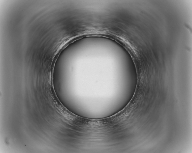 X0000096991220200802221450