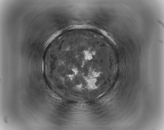 X0000096991221200802221450