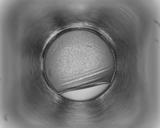 X0000096991224200802221450