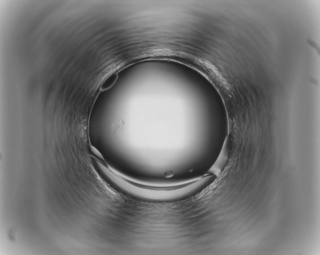 X0000096991225200802221450