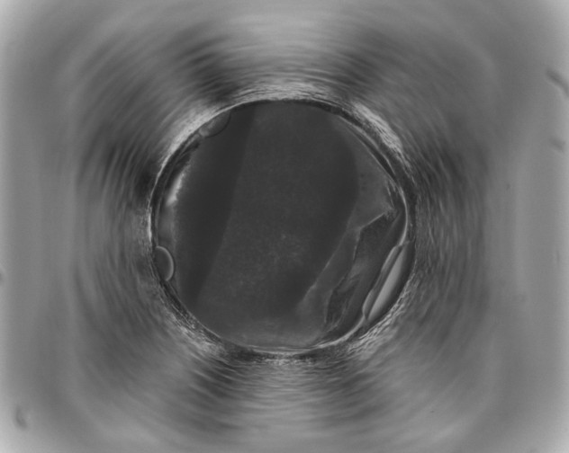 X0000096991226200802221450