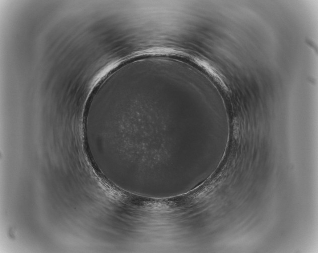 X0000096991229200802221450