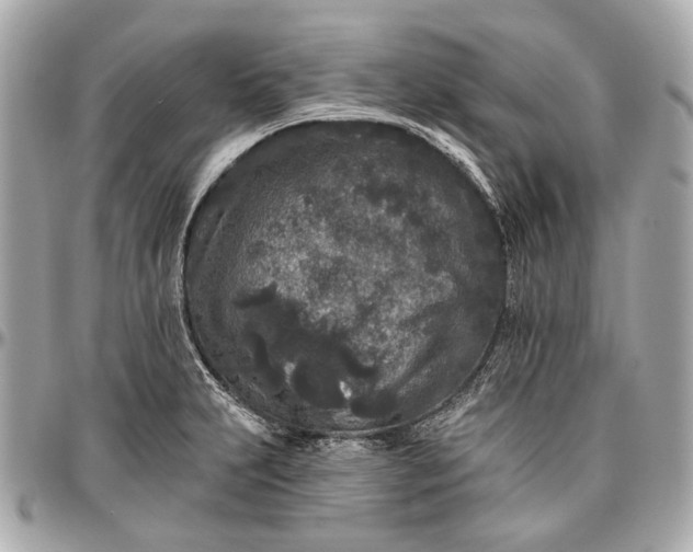 X0000096991231200802221450