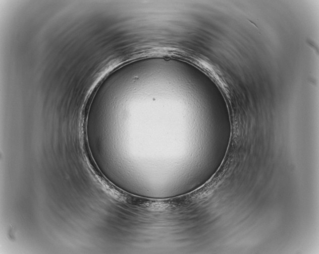 X0000096991235200802221450