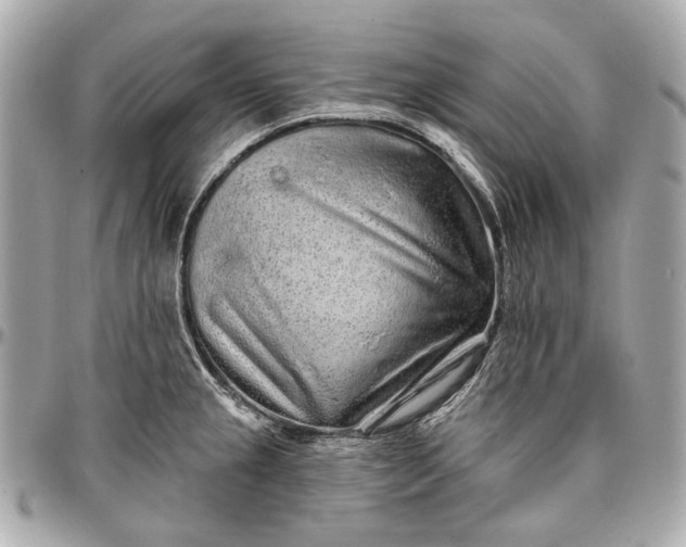 X0000096991237200802221450