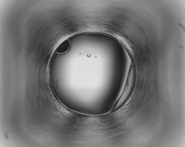 X0000096991238200802221450