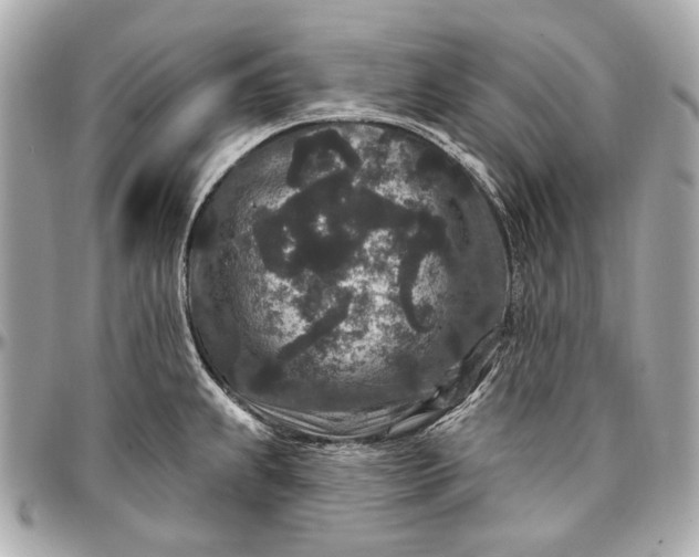 X0000096991239200802221450