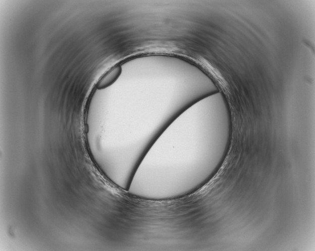 X0000096991240200802221450
