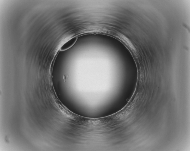 X0000096991242200802221450