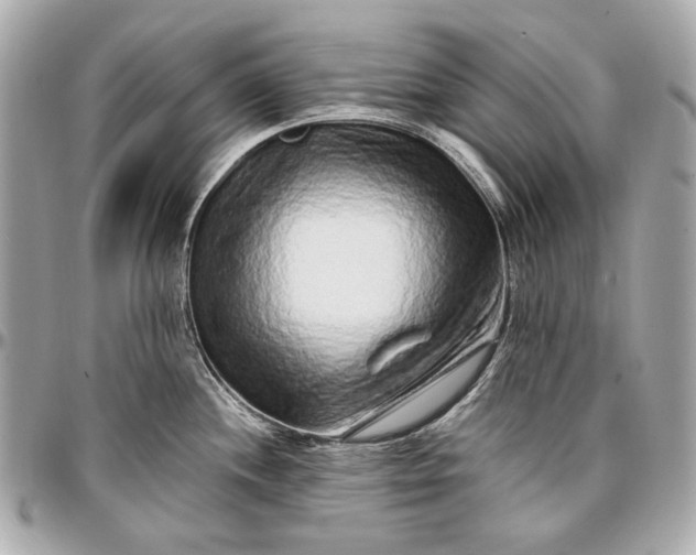 X0000096991244200802221450