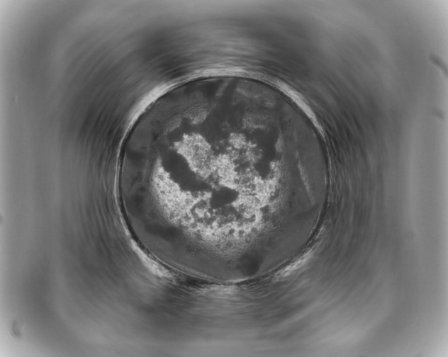 X0000096991245200802221450