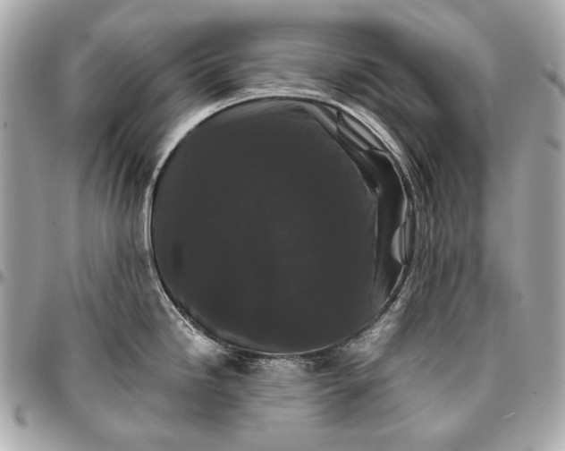 X0000096991246200802221450