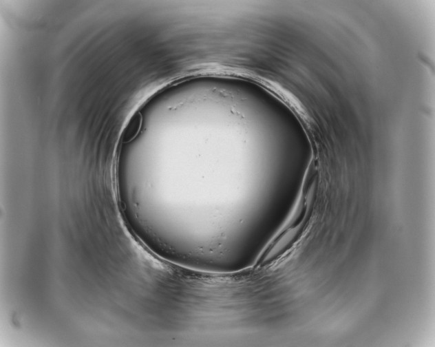 X0000096991247200802221450