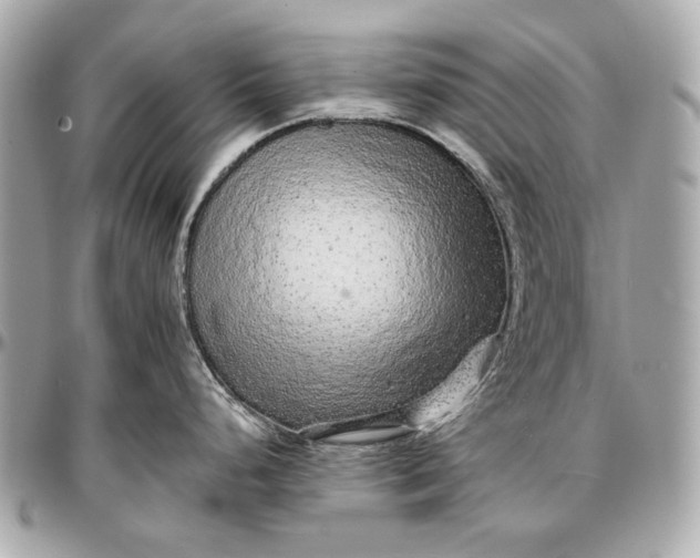 X0000096991248200802221450