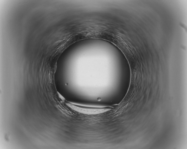 X0000096991250200802221449