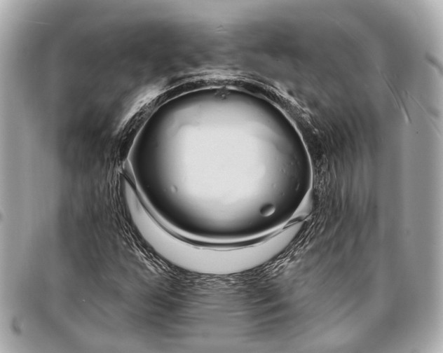 X0000096991255200802221449