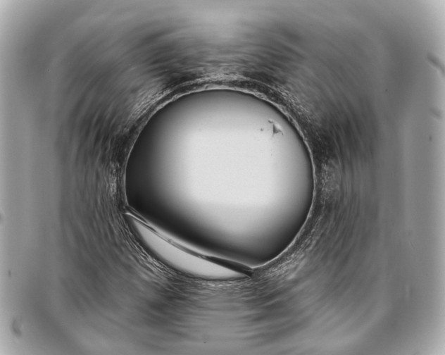 X0000096991257200802221449