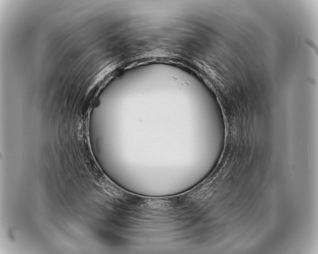 X0000096991258200802221449