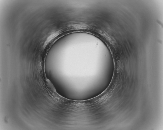 X0000096991261200802221449