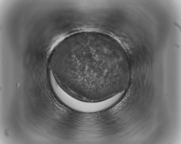X0000096991263200802221449